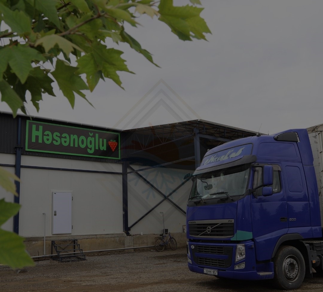 "Həsənoğlu" soyuducu anbarı